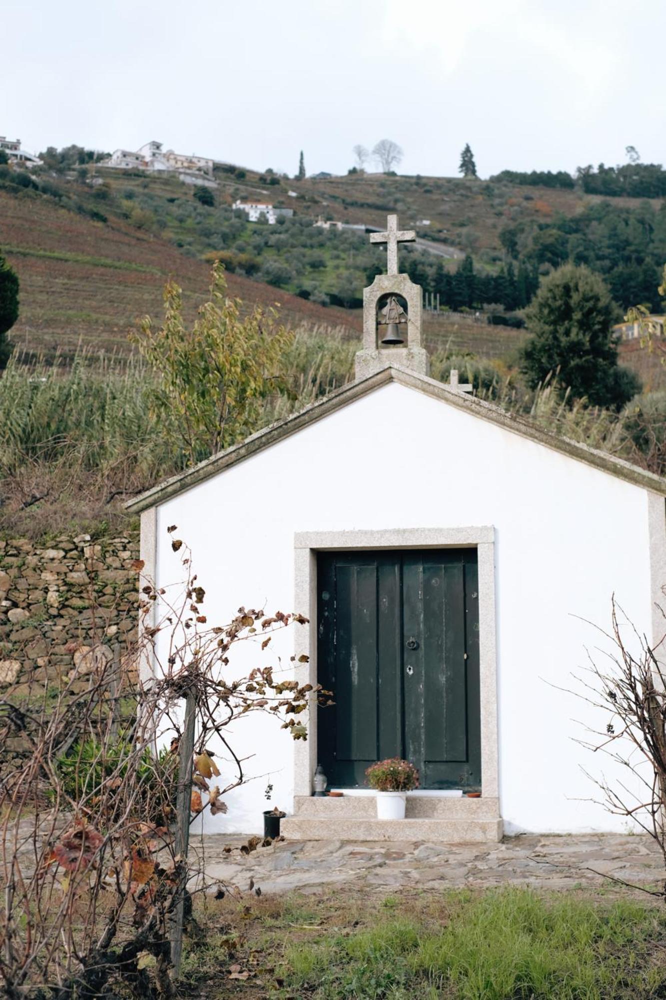 Quinta Das Casas - Douro Winery & Villas Vila Real Exterior foto